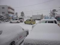 早起きオヤジ　道南函館　本格的な積雪の始まりです。