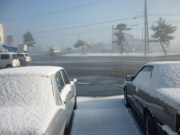 早起きオヤジとGC10ハコスカ　また函館は雪景色。