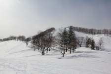 SKI SESSION in 朝里川温泉スキー場