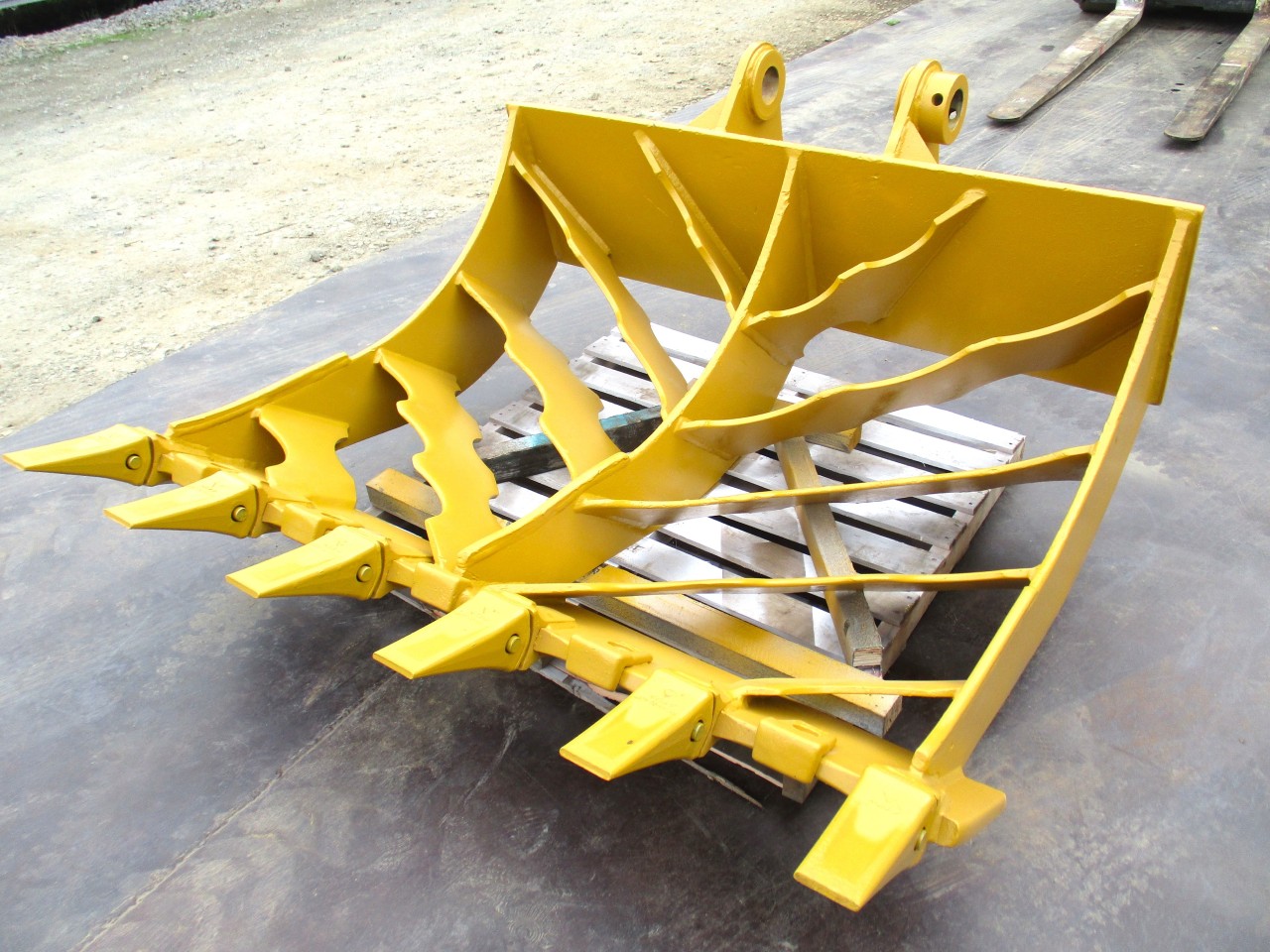 L-20241011-6307.JPG