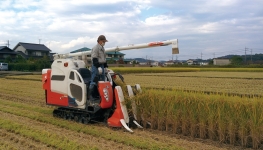 品質保証最大2年！コンバイン/運搬車/トラクター/作業車/ハーベスター用ゴムクローラー