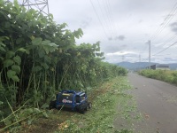 リモコン式草刈ハンマーナイフモアX-FLAIL80の路肩作業現場を撮影