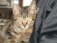 かわいい子、入りましたよ!