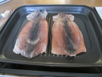 頂き物のイカで一杯！