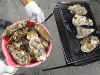 北斗市特産！とれたて峩朗カキを焼きガキで食す！