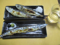 秋の夜長 釧路産のサンマとイワシで旬の一杯！