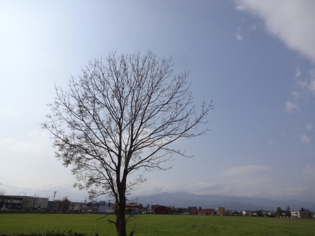 DSC06688