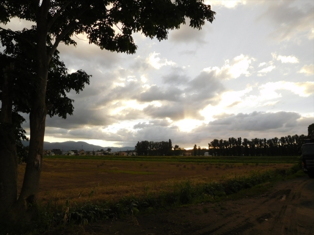 DSCN4122_R