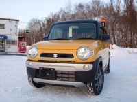 ハスラー　MR41S  ノックスドール施工　完成！
