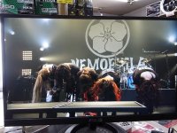 ネモフィラ　渋谷公会堂　ライブ　生配信　視聴！