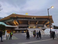 ネモフィラ　武道館　ライヴ観戦です！