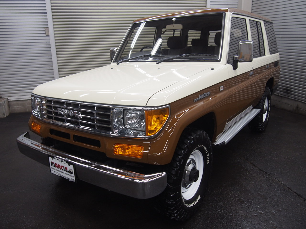 L-20190119-9213.JPG