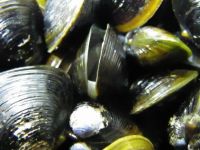 釣り紀行続きだよ！