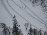 今期最後の深雪かな
