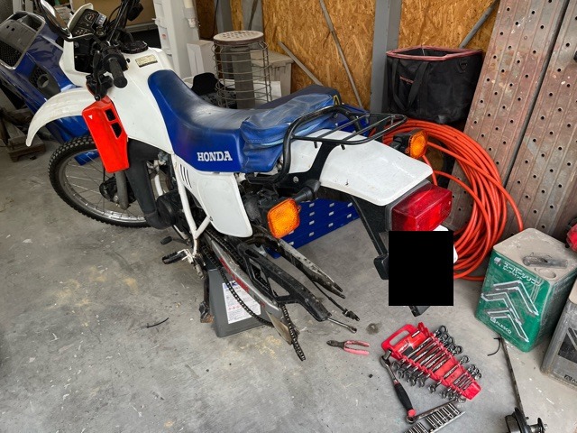 L-20230729-8982.jpeg