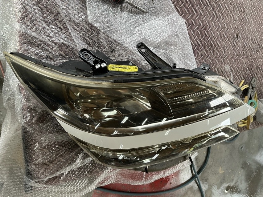 L-20230731-1951.jpeg