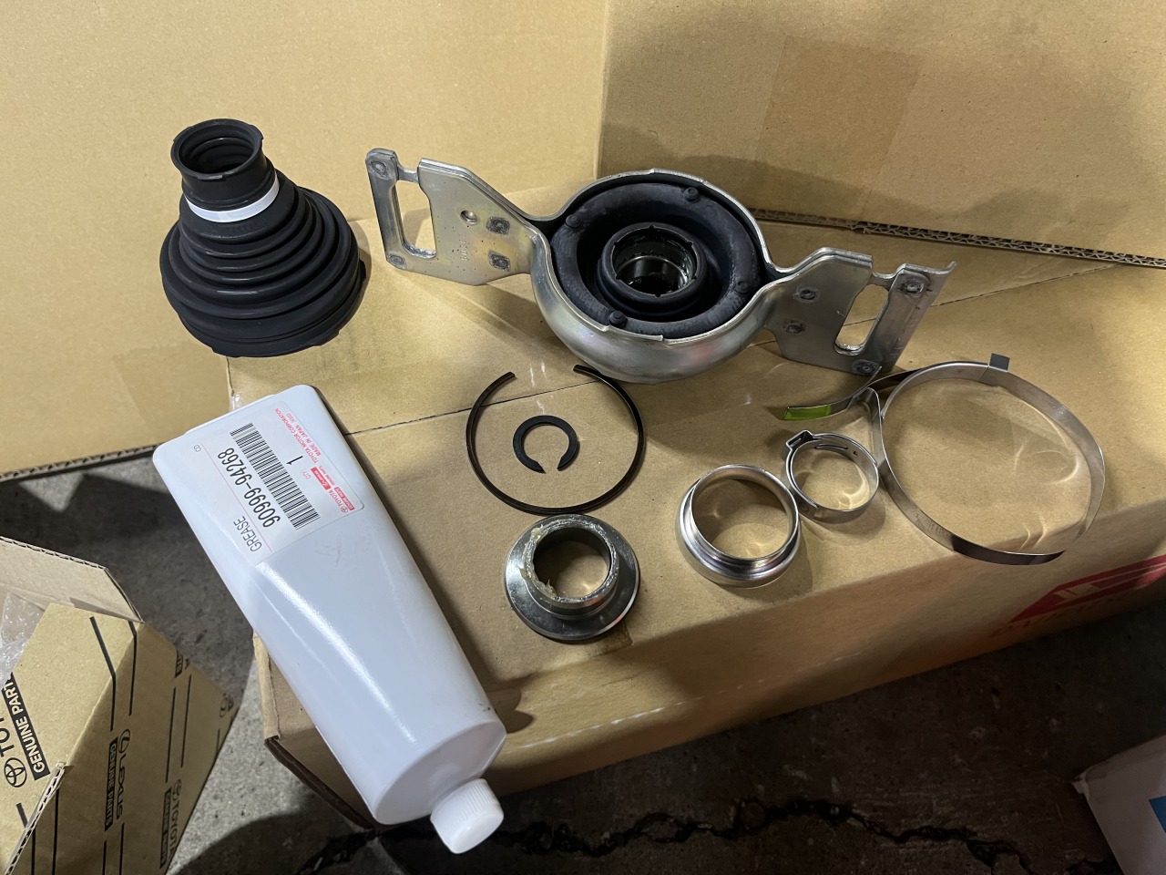 L-20240119-4226.jpeg