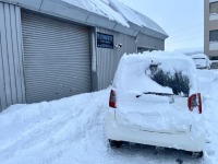 2025年度  プラスペイントワーク年内の営業スケジュールのお知らせです♪