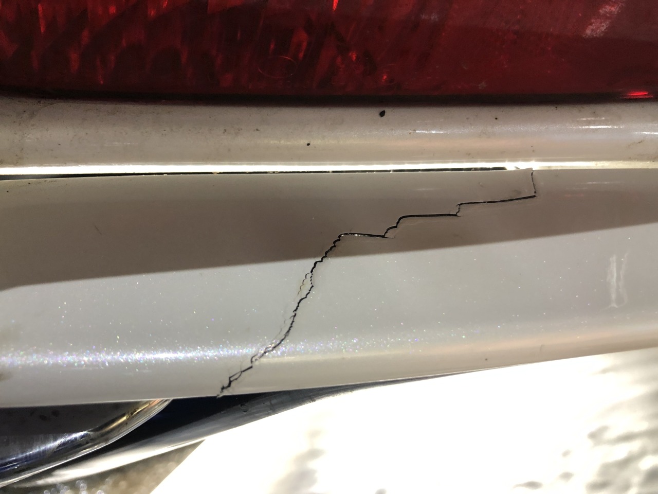 L-20220115-0469.jpeg