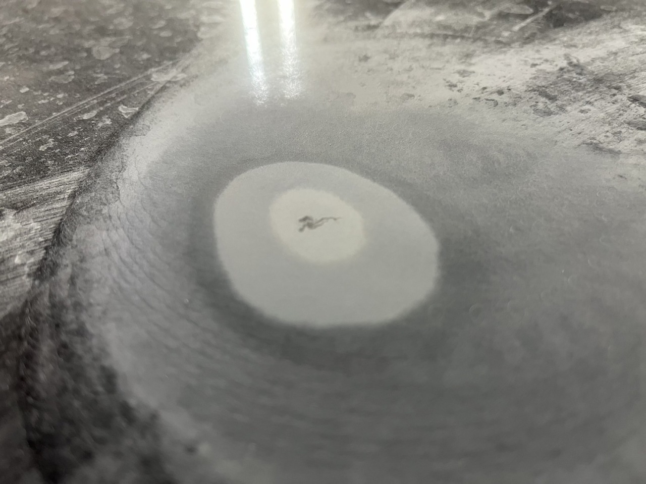 L-20221213-8283.jpeg