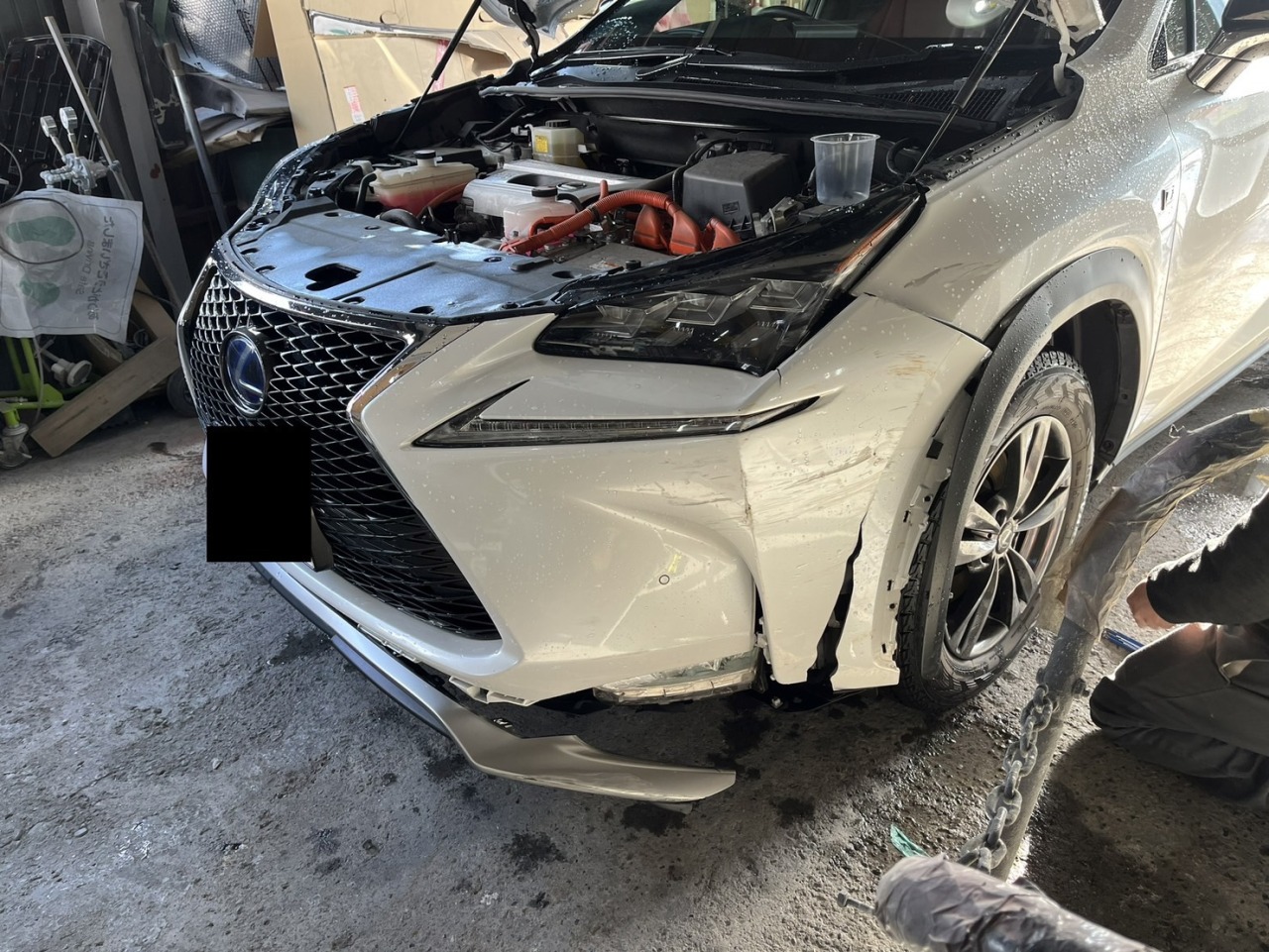 L-20221227-7749.jpeg