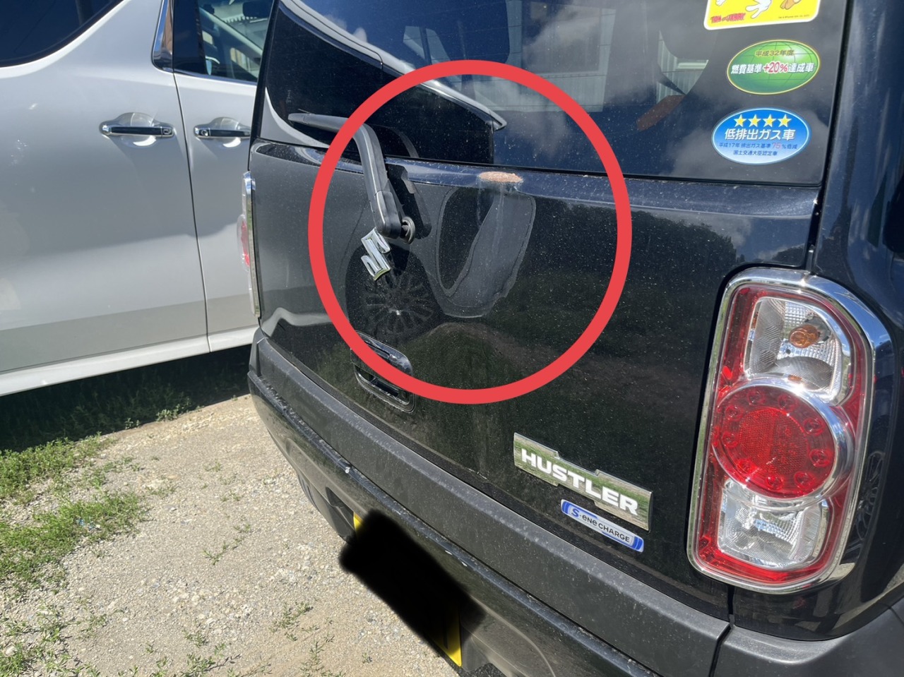 L-20230722-1454.jpeg