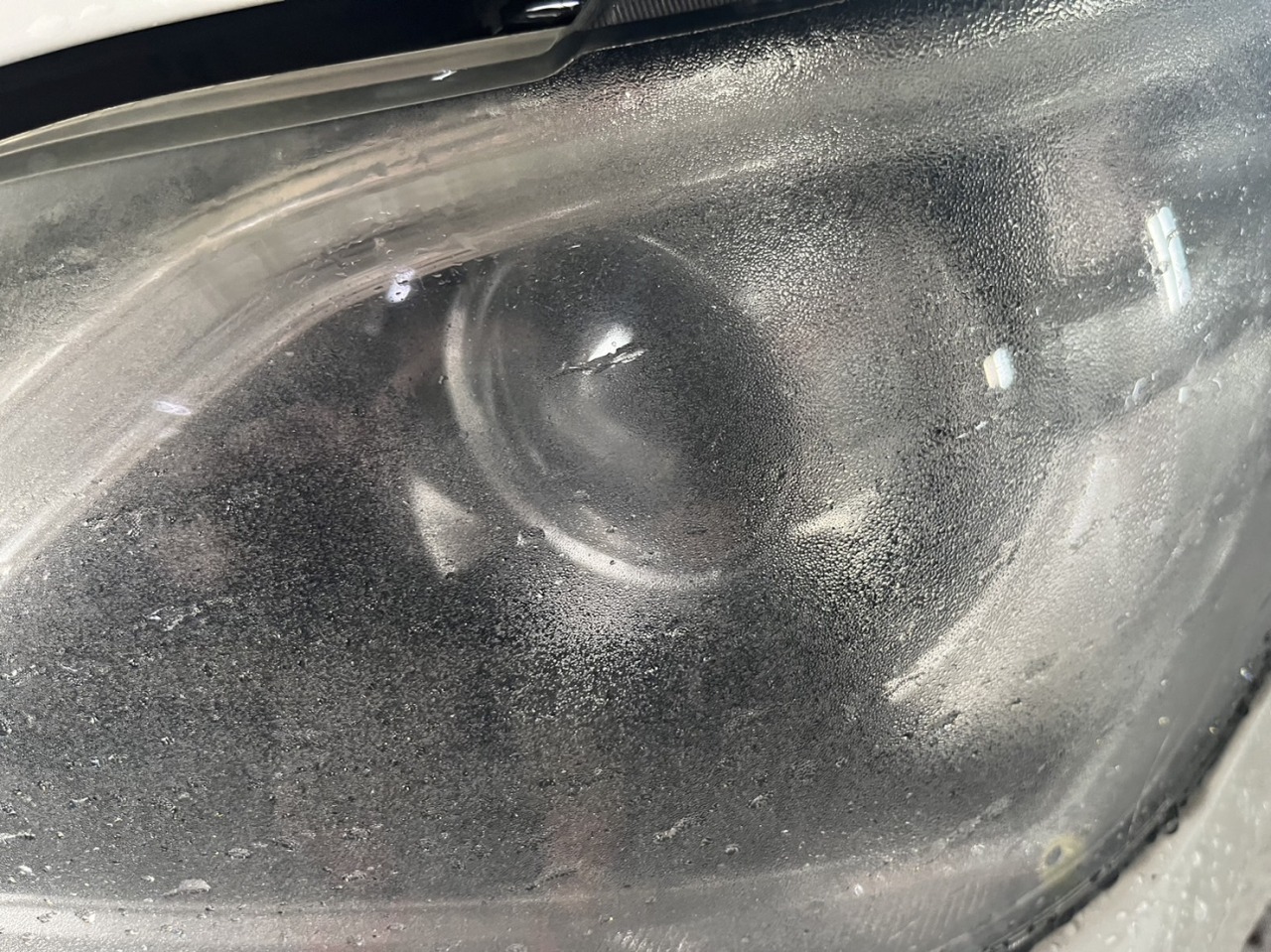 L-20230823-1349.jpeg