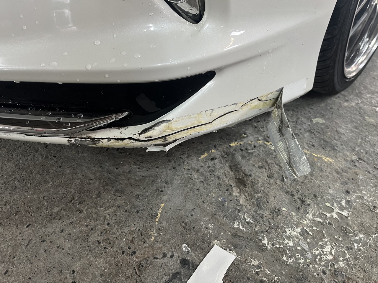 L-20231107-2575.jpeg