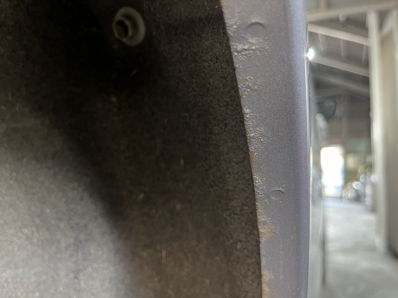 L-20240623-5217.jpeg