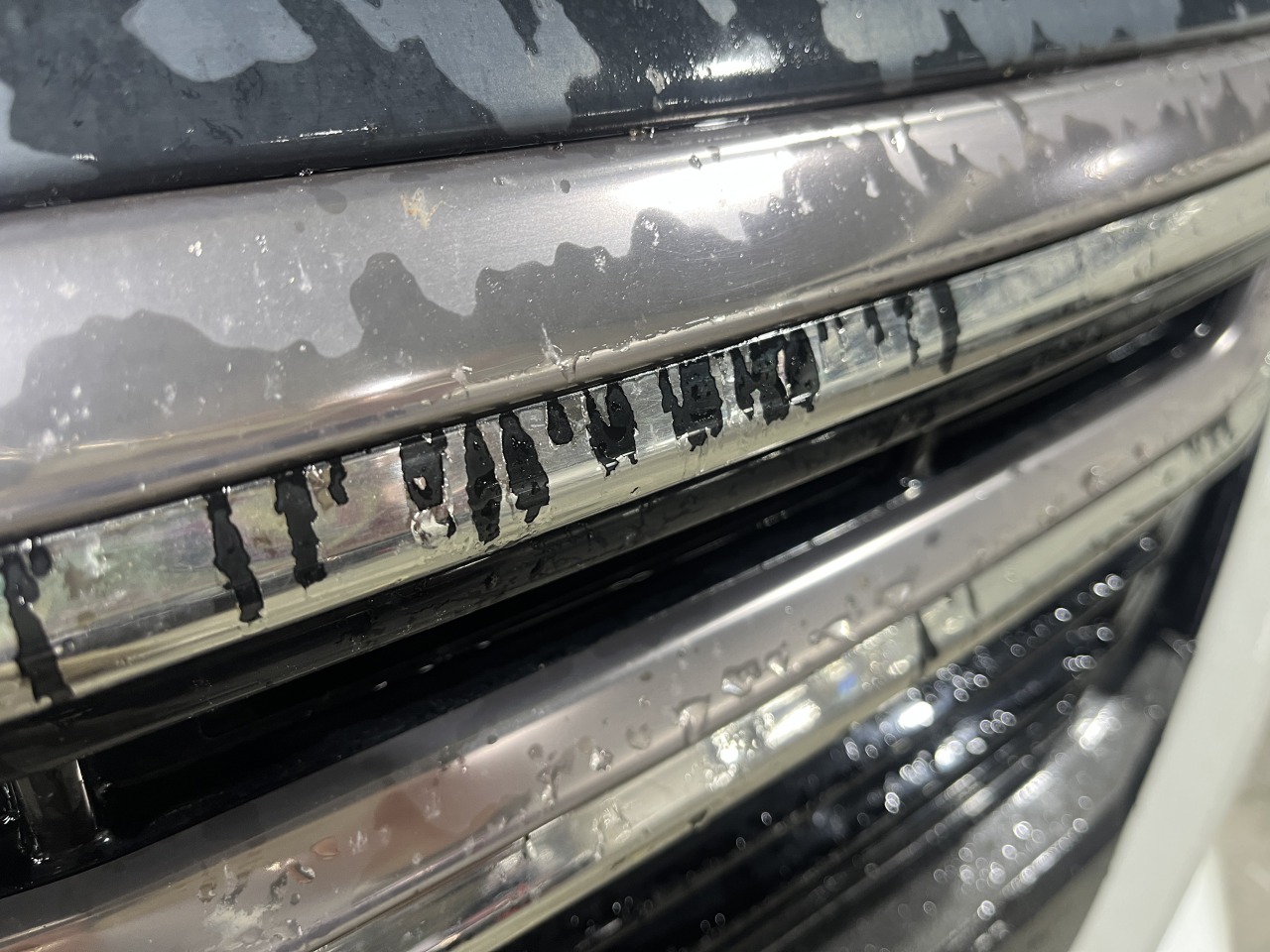L-20241117-4392.jpeg