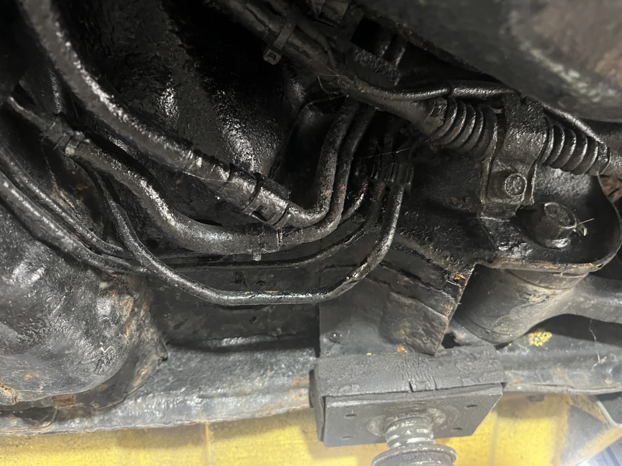 L-20251007-3739.jpeg