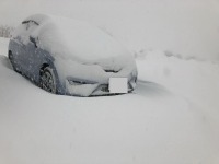 吹雪 ホワイトアウト 視界不良 事故や雪山乗り上げ車動かない！レッカー出動‼︎