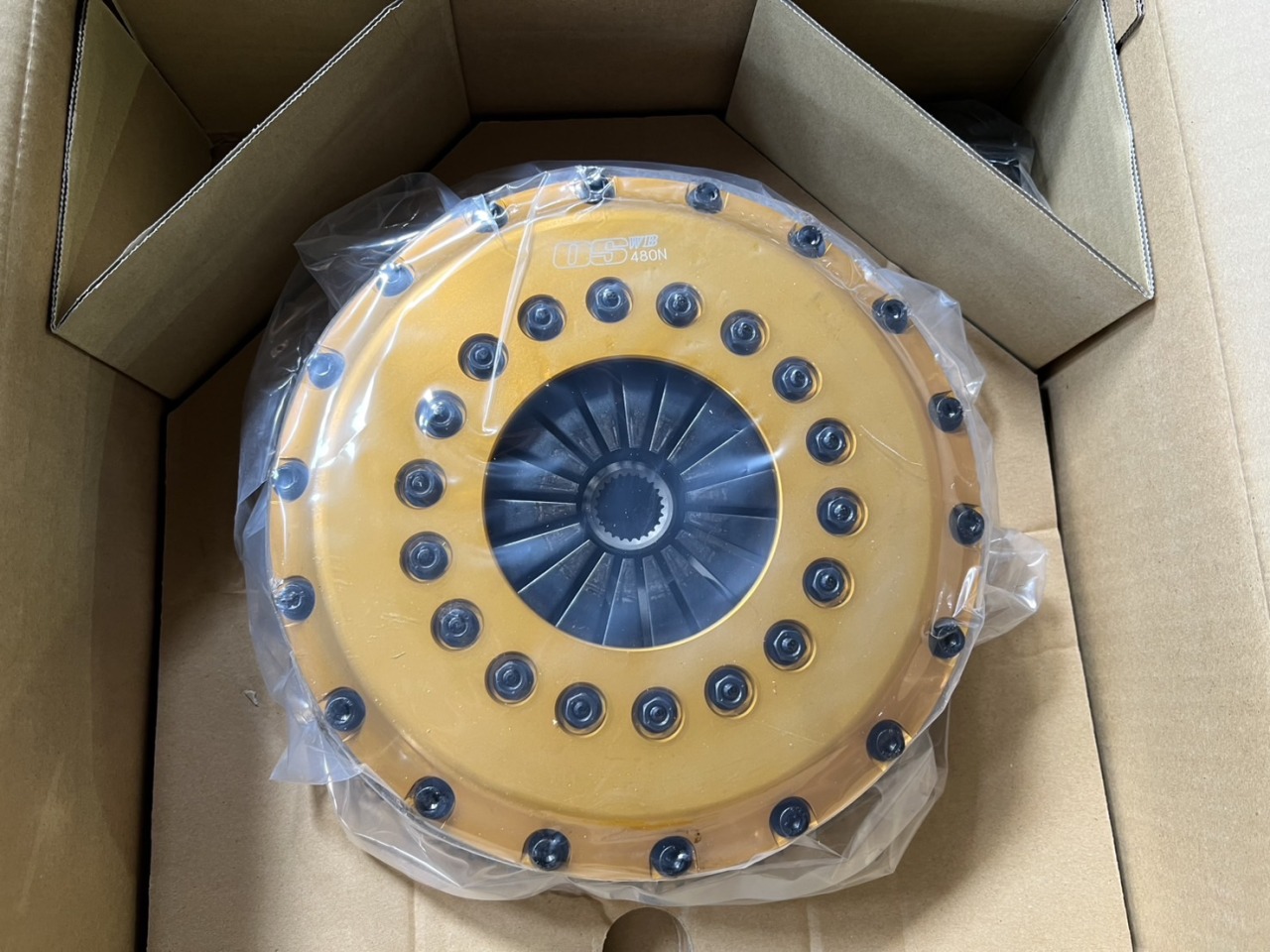 L-20251106-7917.JPG