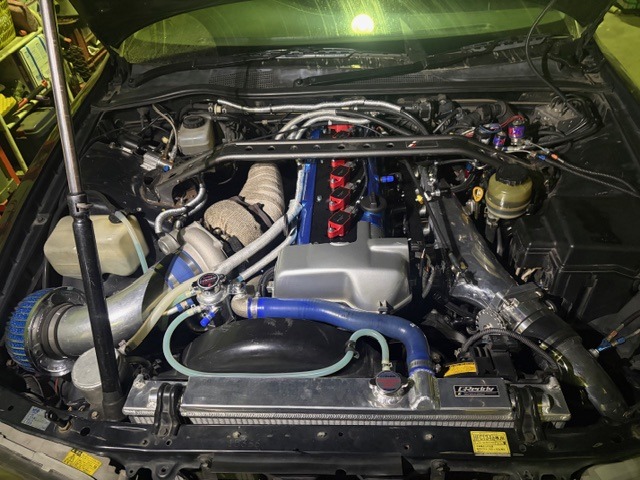 L-20260403-5240.jpeg