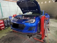 今週もご来店頂きありがとうございました！