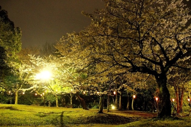 浜松城公園 夜にはライトアップがおこなわれています トランポ ハイエース他 内装設計 カスタム施工 製造販売 オグショー Do Blog ドゥブログ
