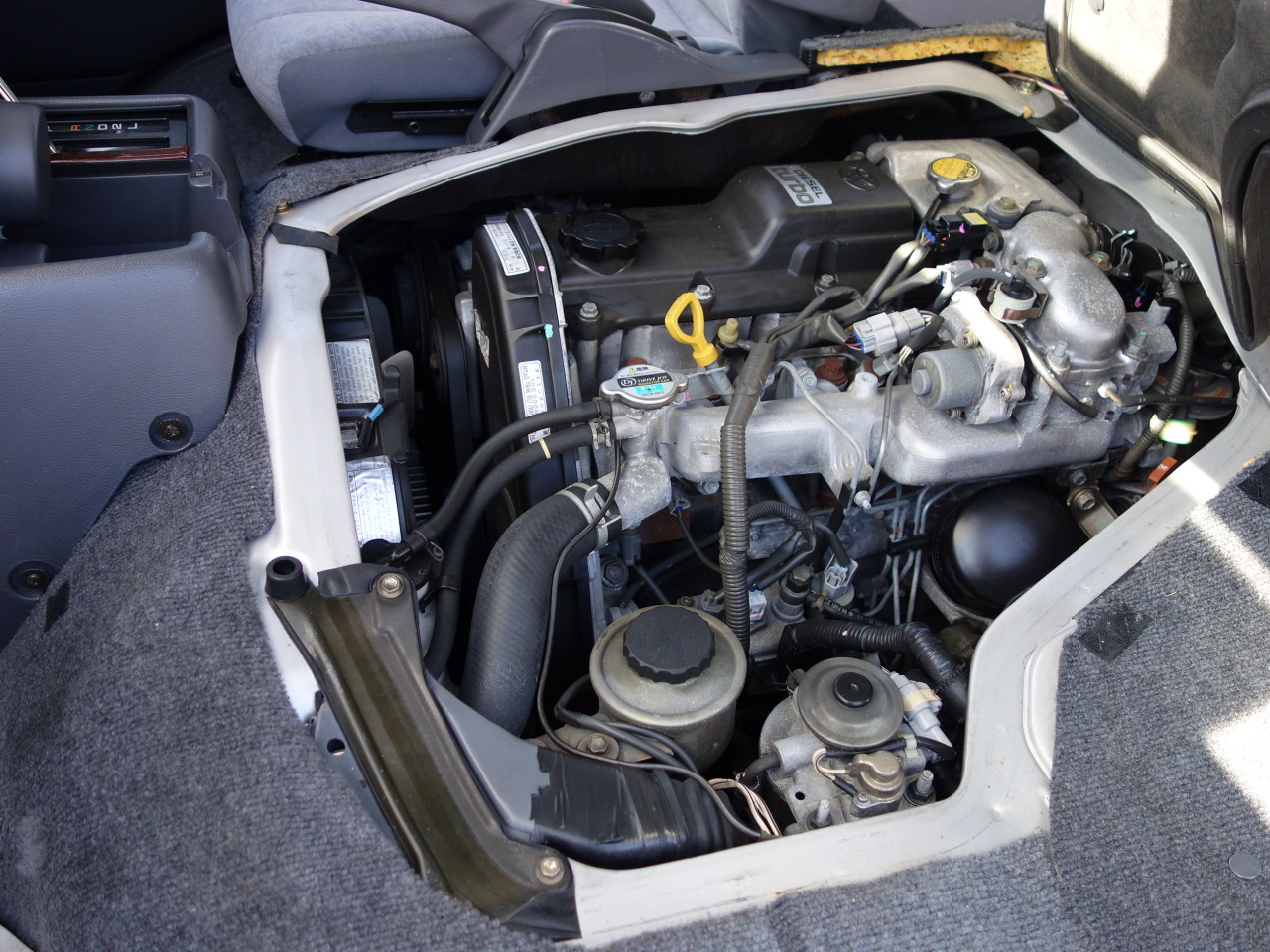 L-20151105-6830.JPG