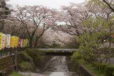 遠州森町！いっさいの良縁を結ぶ「小國神社」