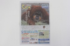 静岡新聞びぶれ9月22日号に掲載していただきました！