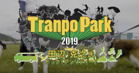 ドッグスポーツアジリティーの魅力を田邊さんが紹介！【動画】