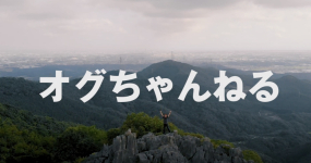 YouTubeオグちゃん企画:2020年オグちゃんまとめ!!