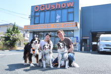 オグショー看板犬の出身「おっぽの会」様がグラウドファンディング中！